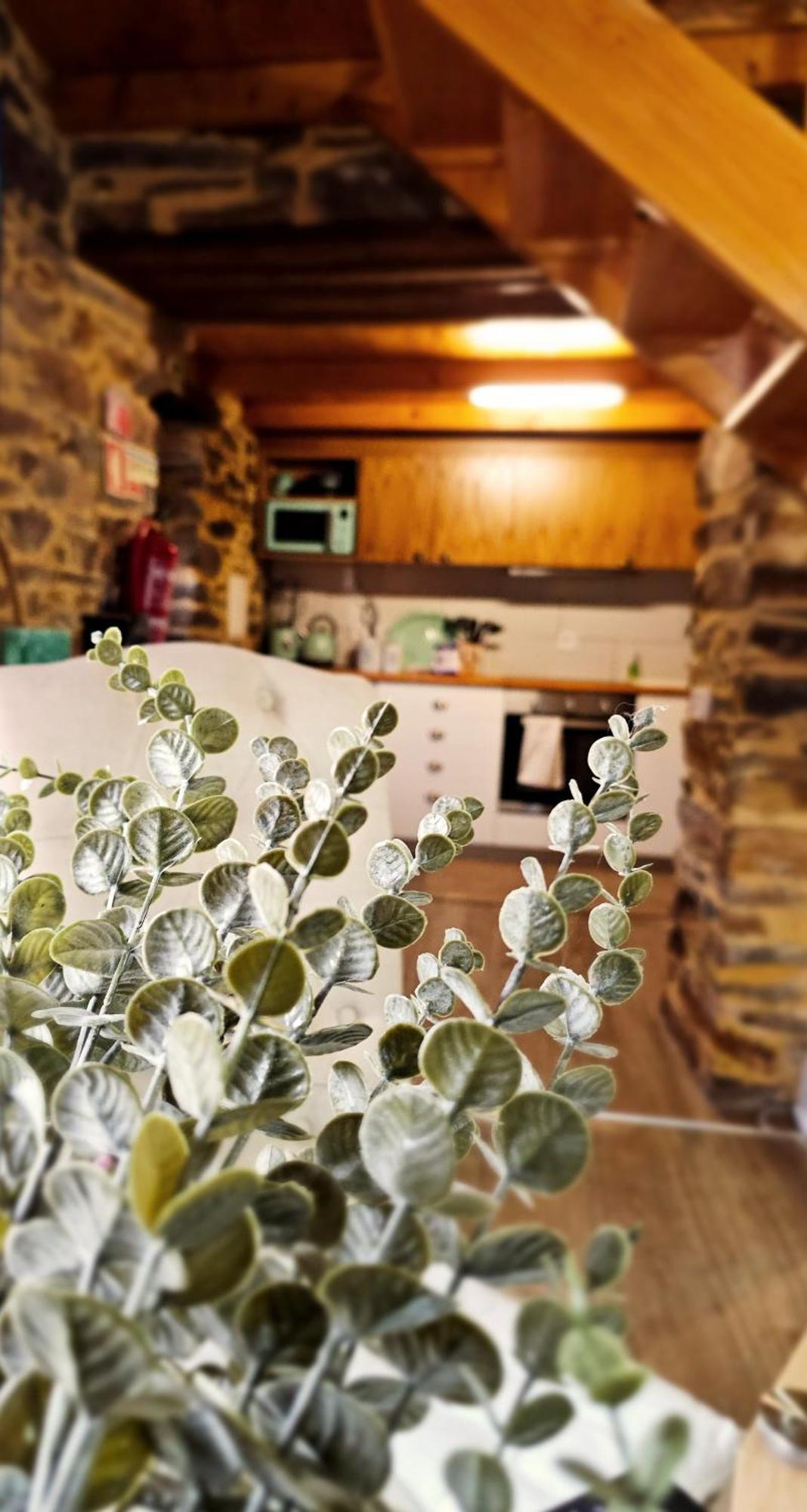 Pampihouse, Luxury Rustic House Near River Pampilhosa da Serra Esterno foto